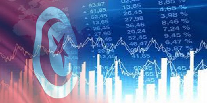 إصلاح المنظومة الضريبية من أجل إنجاح الإنتقال الديمقراطي في تونس